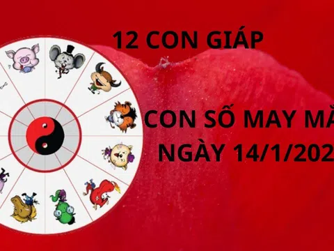 Tử vi ngày 14/1 con số may mắn lộc thánh lộc trời rơi vào nhà 12 con giáp giúp chuyển vận giàu có