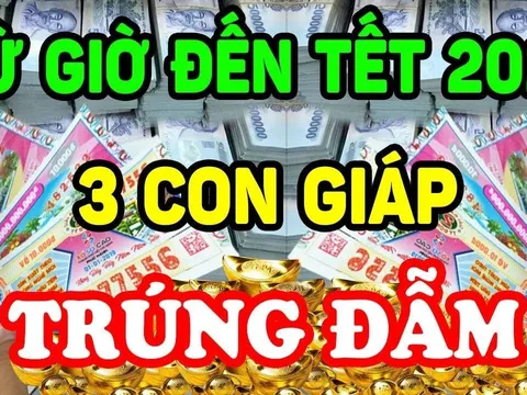 Qua đêm nay đến Tết Ất Tỵ: 3 tuổi Nổ Lộc giàu hơn Thần Tài, 2 tay hứng vàng hứng bạc