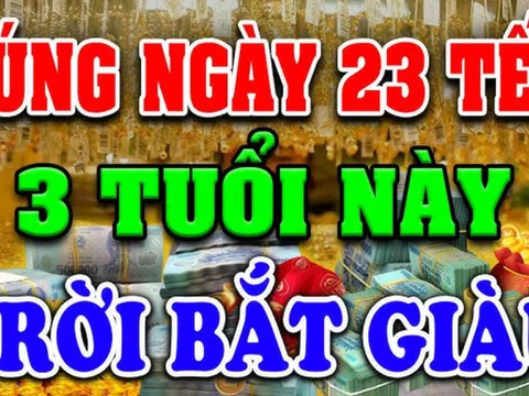 Sau Tết ông Công ông Táo: 3 tuổi Ước Gì Được Nấy, phát tài giàu khủng, đặc biệt tuổi số 2