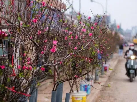 Dự báo thời tiết: Tết Nguyên đán - Miền Bắc rét đậm và có mưa phùn