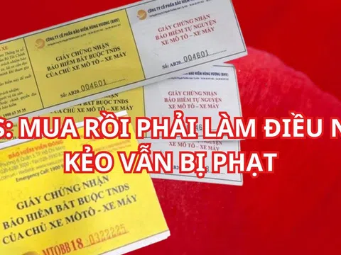 Thời hạn của bảo hiểm xe máy bắt buộc là bao lâu? Chú ý mua bảo hiểm xe kẻo có rồi vẫn bị phạt