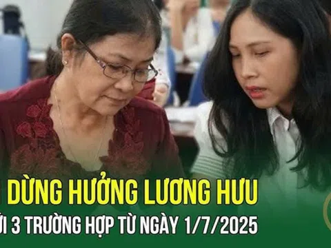 Kể từ tháng 7/2025: 3 trường hợp này sẽ bị chấm dứt hưởng lương hưu hàng tháng