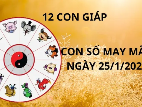 Tử vi ngày 25/1 con số may mắn số vàng tài lộc trời thương tổ độ cho 12 con giáp cơ hội giàu sang