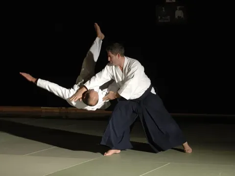 Aikido –  Ấn tượng với những kỹ năng phòng thủ độc đáo