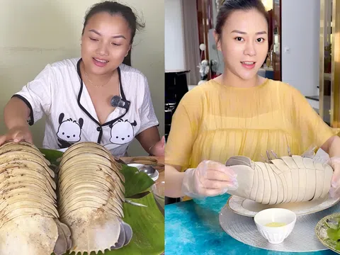 Loại hải sản lạ Quỳnh Trần JP và Phương Oanh đều chọn để bồi bổ thai kỳ, nhà giàu thèm cũng khó tìm mua