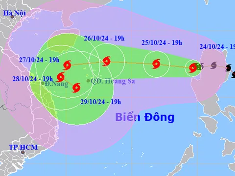 Hai yếu tố khiến bão Trà Mi có đường đi dị thường, phức tạp