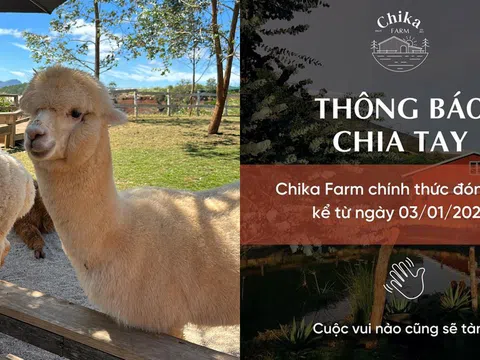 Vì sao Chika Farm ở Đà Lạt đóng cửa dù rất đông khách tham quan?
