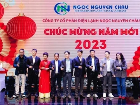 Khẳng Định Vị Thế: Điện Lạnh Ngọc Nguyên Châu - Nhà Phân Phối Điều Hòa Uy Tín Miền Bắc