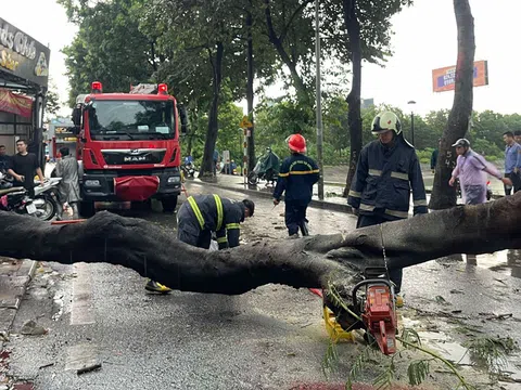 Siêu bão đổ bộ khiến Hà Nội mưa to, cây ngã gây thương vong