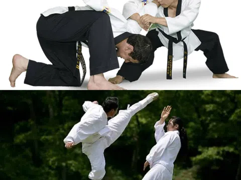 Cơ hội để fan võ thuật trải nghiệm tập luyện Taekkyon và Hapkido