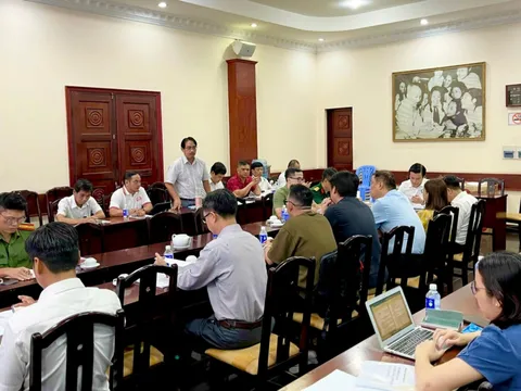 TP.HCM: Liên hoan Võ thuật Quốc tế 2025 với nhiều điểm mới đột phá