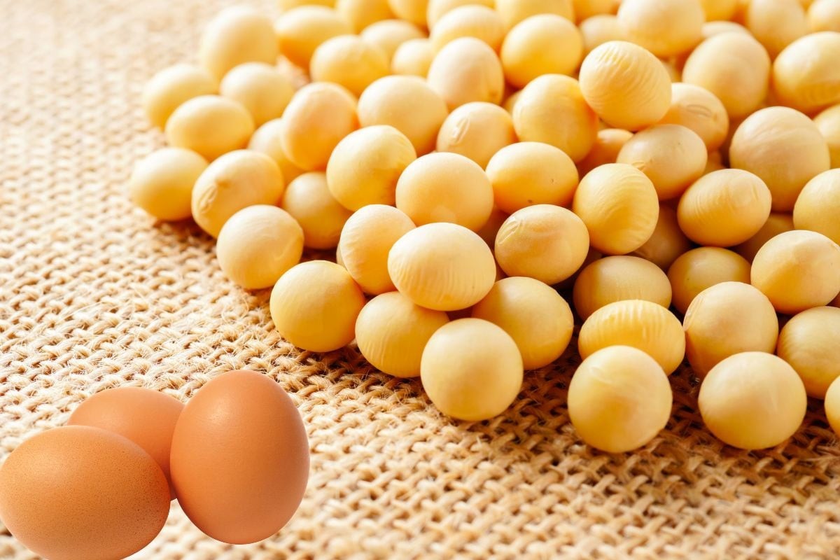  Không nên kết hợp trứng với đậu nành
