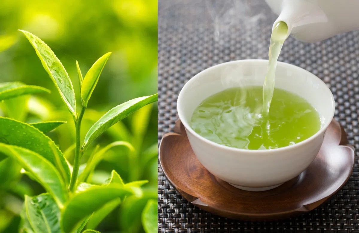 Nước trà xanh có tác dụng thanh nhiệt, giải độc và hạn chế mắc một số bệnh
