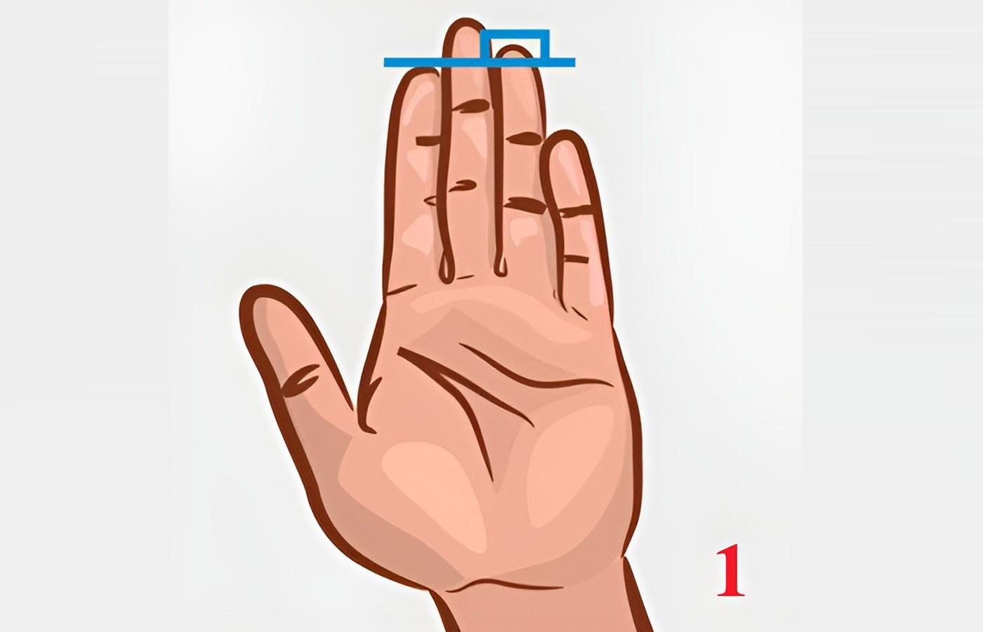 Độ dài của ngón tay trỏ có thể hé lộ thông tin về tính cách của một người