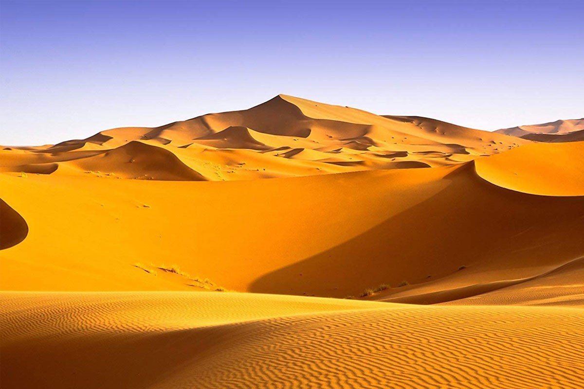 Sa mạc là những khu vực có khí hậu khắc nghiệt, lượng mưa thấp