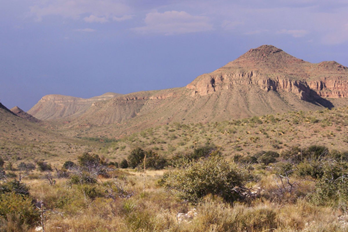 Chihuahua có lượng mưa trung bình năm lớn hơn so với các sa mạc khác