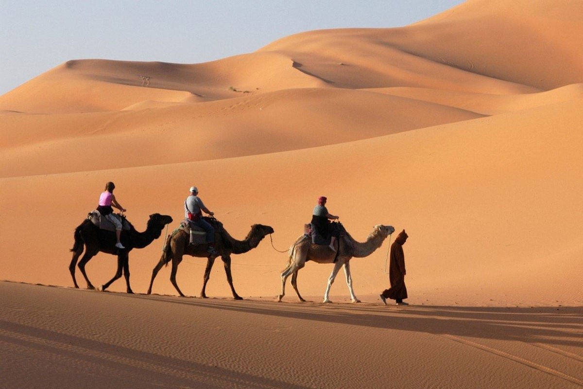 Sa mạc Ả Rập có diện tích tương đối lớn