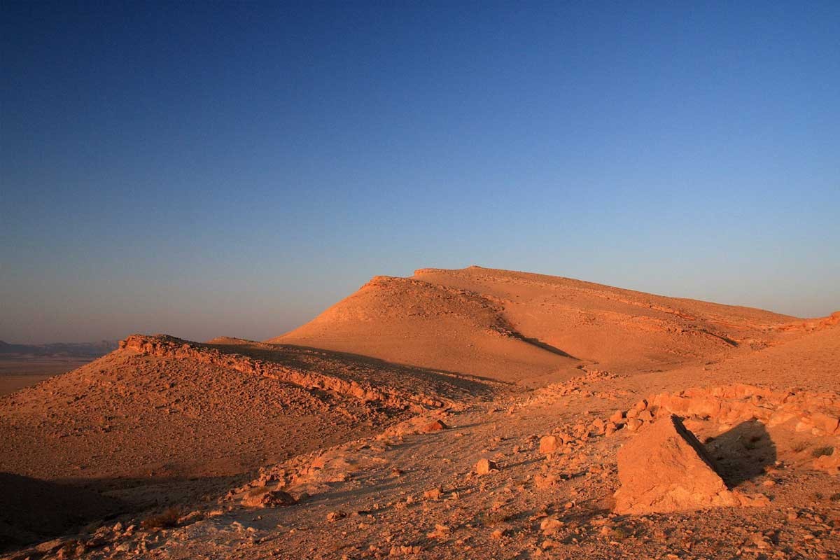Sa mạc Syria có vùng đất khá khô cằn