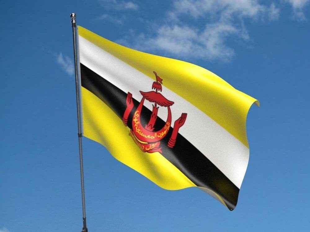Quốc gia nào sau đây thuộc Đông Nam Á biển đảo không thể không nhắc đến Brunei