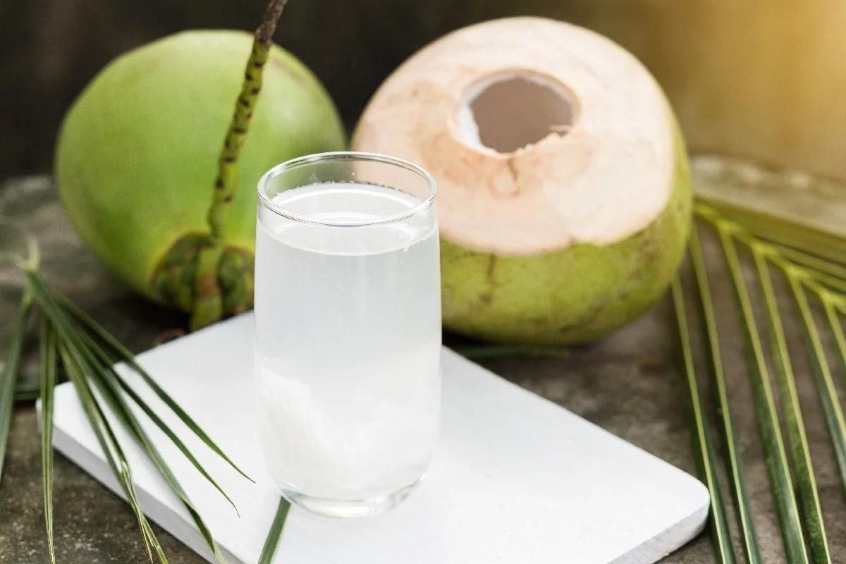 Bạn chỉ nên uống tối đa 2 quả dừa trong một ngày để đảm bảo sức khỏe