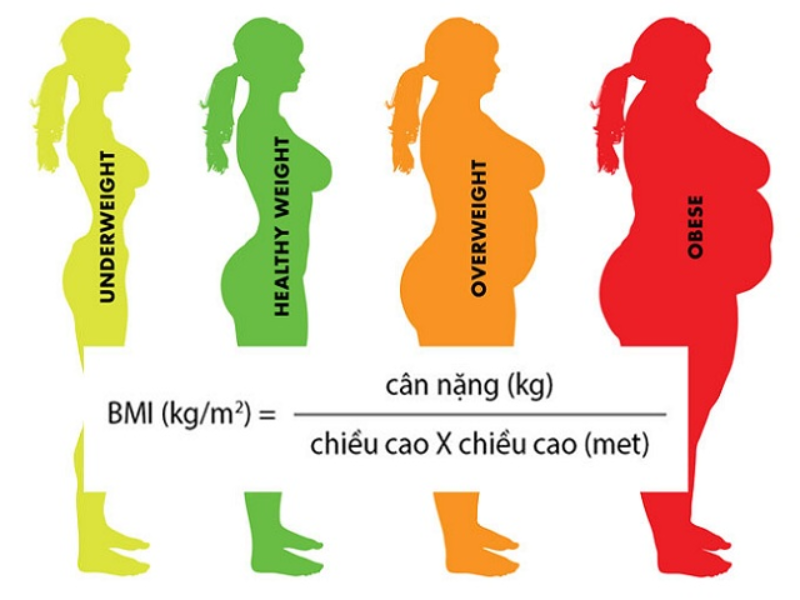 BMI được áp dụng bằng cách chia cân nặng bằng kilogram cho chiều cao