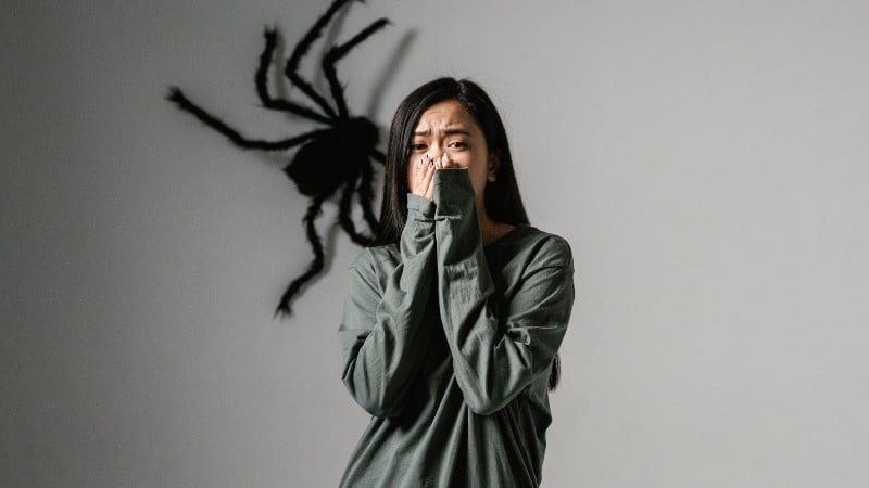 Arachnophobia - Hội chứng sợ nhện