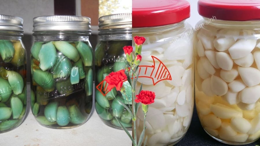 Tỏi ngâm bị xanh do phản ứng hóa học xảy ra