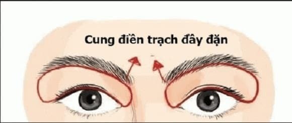 Cung điền trạch nằm giữa phần trên của mắt và phần dưới của chân mày, thể hiện khả năng sở hữu và quản lý bất động sản.

