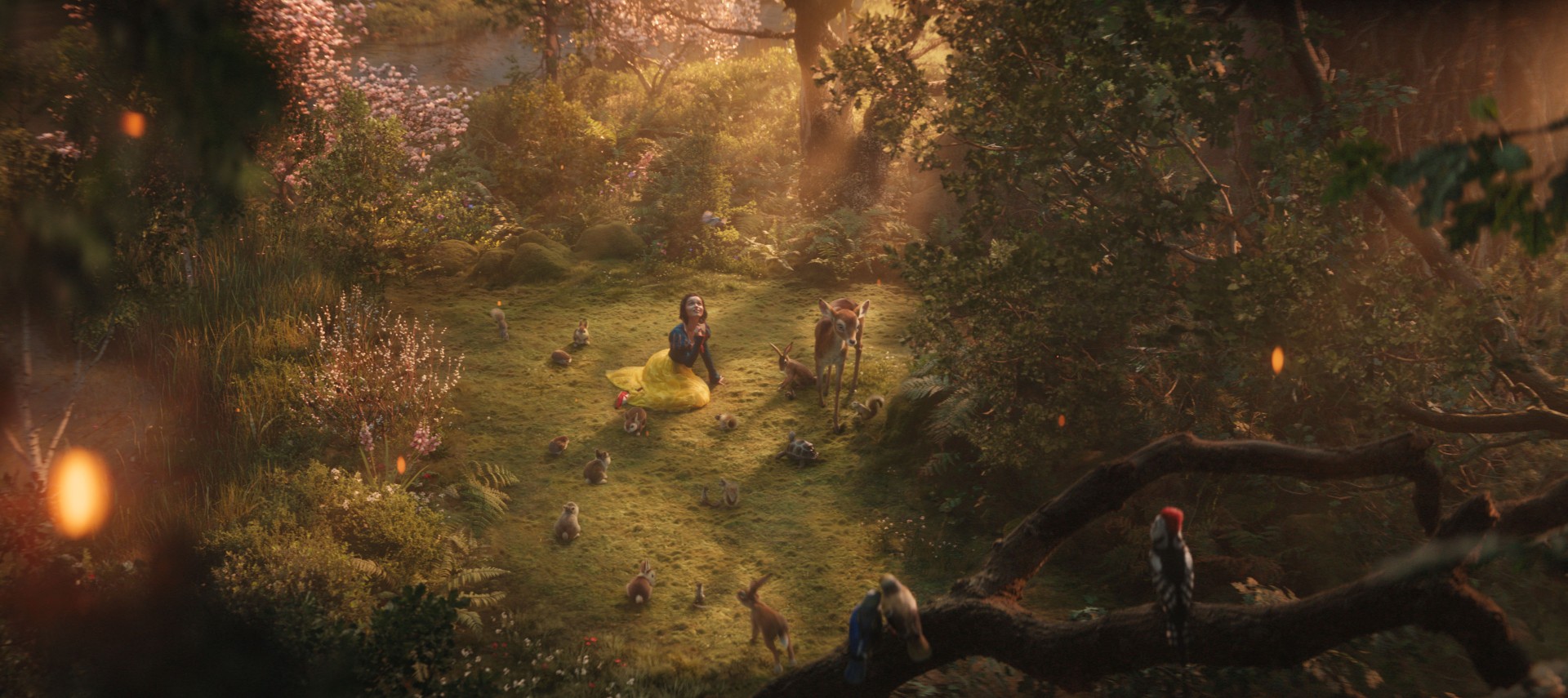 SNOW_WHITE_dtrl2_uhd_r709f_stills_241030.088085
