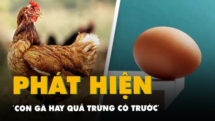 Câu hỏi