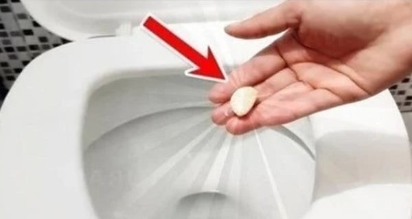Nhà vệ sinh là khu vực thường xuyên ẩm ướt, dễ phát sinh mùi hôi từ bồn cầu và cống thoát nước.
