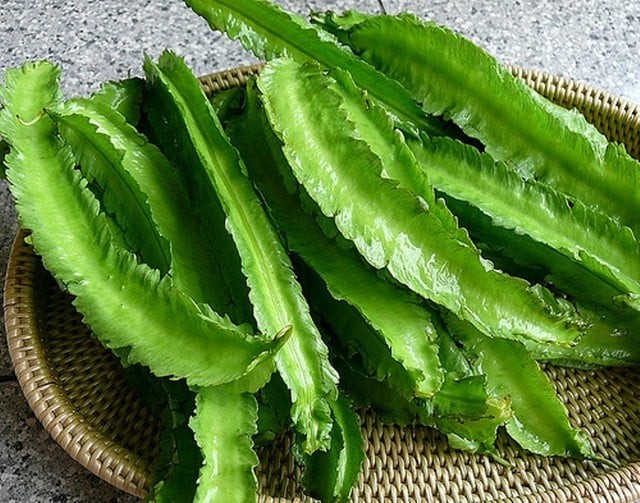 Về mặt dinh dưỡng, đậu rồng chứa nhiều dưỡng chất thiết yếu cho cơ thể