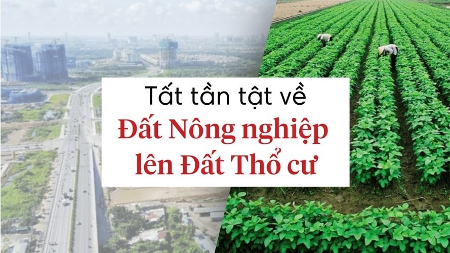 Người dân khi chuyển đất vườn lên đất thổ cư sẽ phải đóng các khoản tiền như: Tiền sử dụng đất, lệ phí trước bạ, lệ phí cấp sổ đỏ, phí thẩm định hồ sơ.