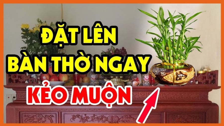 Cây trồng đặt lên bàn thờ may mắn giàu có