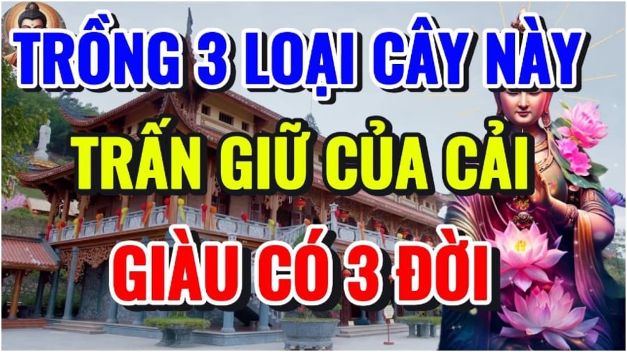 3 cay duong hut loc