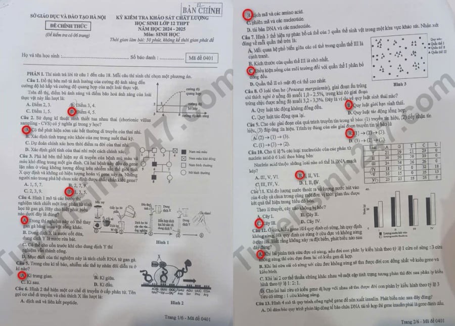 Đề thi khảo sát môn Sinh học lớp 12 Hà Nội 2025, mã đề 0401, trang 1, 2.