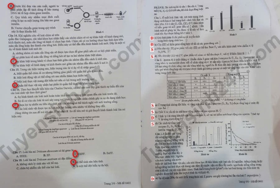 Đề thi khảo sát môn Sinh học lớp 12 Hà Nội 2025, mã đề 0401, trang 3, 4.