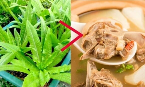 Rau diếp thơm được sử dụng phổ biến trong các món ăn như salad, rau sống, kẹp bánh mì.