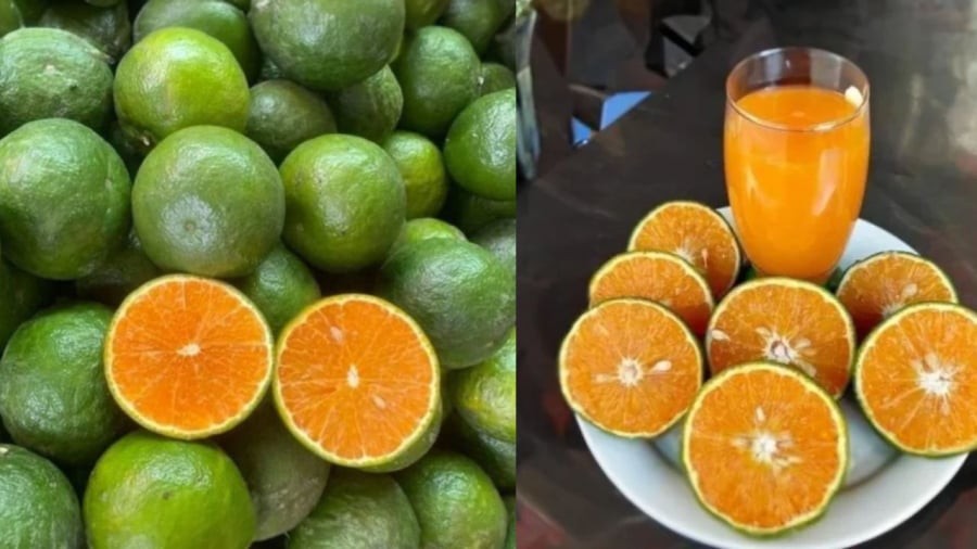 Cha mẹ chú ý cho con dùng nước cam tươi không nên dùng nước cam đóng hộp