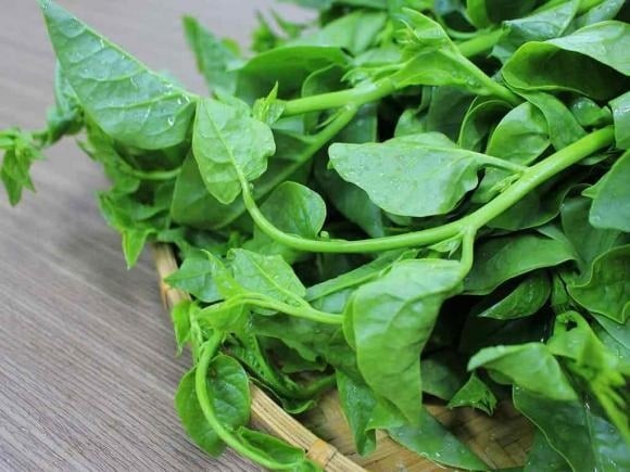 Rau mồng tơi là loại rau lành tính, giàu dưỡng chất, nhưng không phải ai ăn cũng tốt.