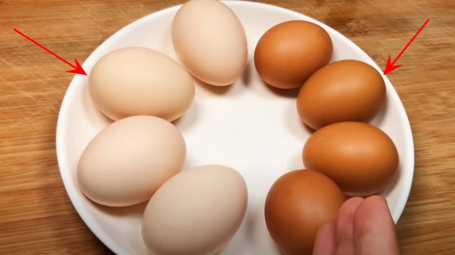 Trứng gà có sự khác nhau về màu vỏ, có loại vỏ trắng, vỏ nâu là do các giống gà mái khác nhau đẻ ra.