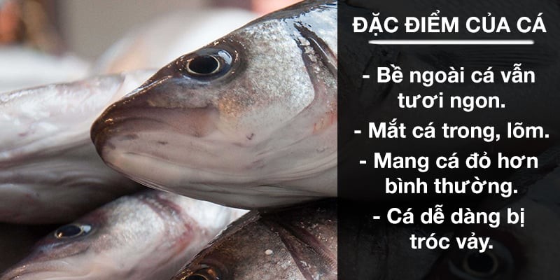 Dấu hiệu cá ướp urê: Tươi ngon, giá rẻ mấy cũng đừng ham mua về