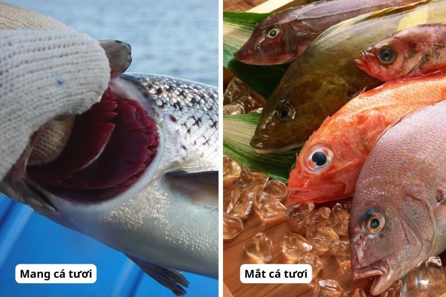 Urê là một loại hóa chất có thể gây hại nghiêm trọng cho sức khỏe, đặc biệt khi tích tụ trong cơ thể lâu dài.