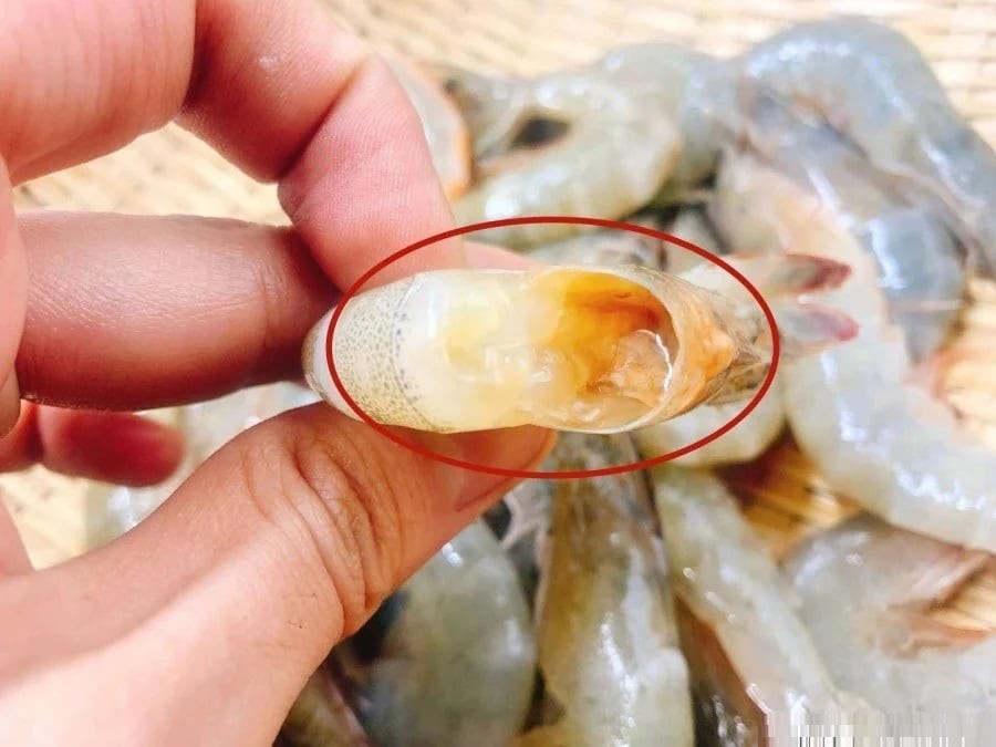 Dù chọn tôm cong hay tôm thẳng thì chúng ta cũng nên chú ý chọn tôm tươi, hãy cùng bỏ túi mẹo hay này!