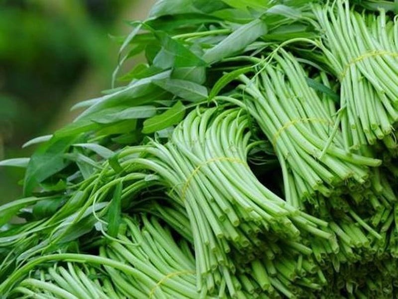 Tránh chọn những bó rau có cọng quá to, cứng hoặc lá xanh thẫm khác lạ