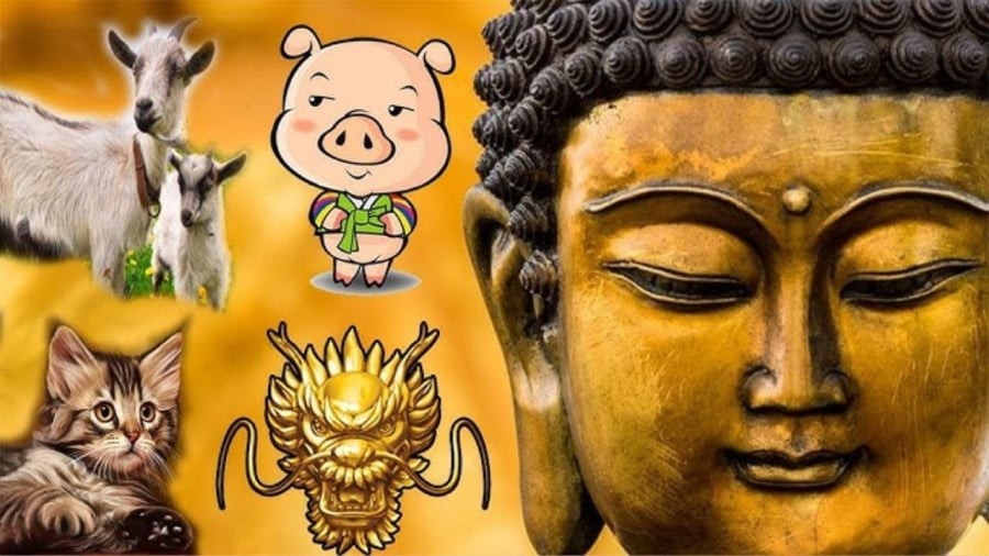 Người tuổi Mùi nổi tiếng là mẫu người sống tình cảm, hiền hòa và luôn nghĩ cho người khác. 