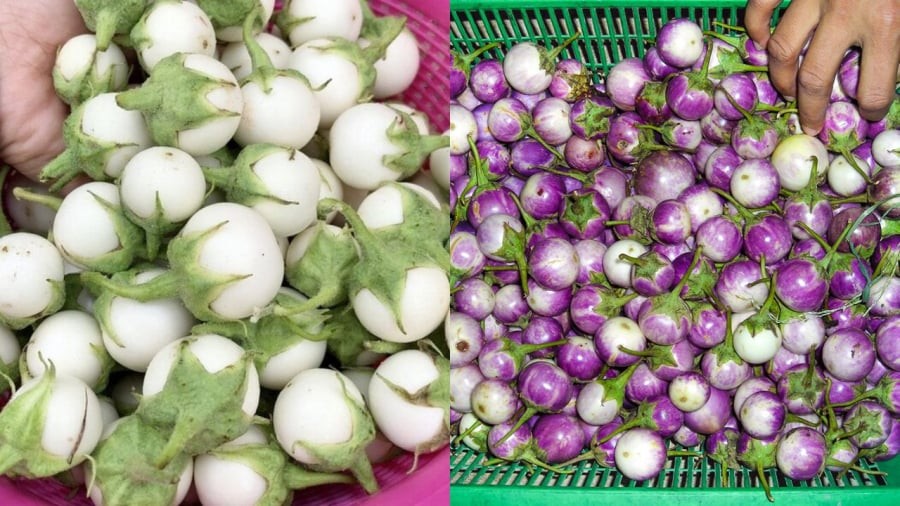 Chọn cà pháo ngon là cách để cho món cà pháo muối chua được ngon
