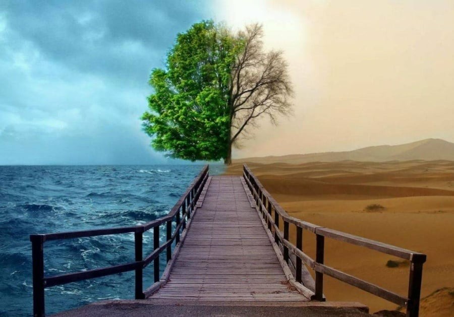 Có hai từ mà hầu hết mọi người đều biết, nhưng không phải ai cũng thực sự thực hành, đó là 