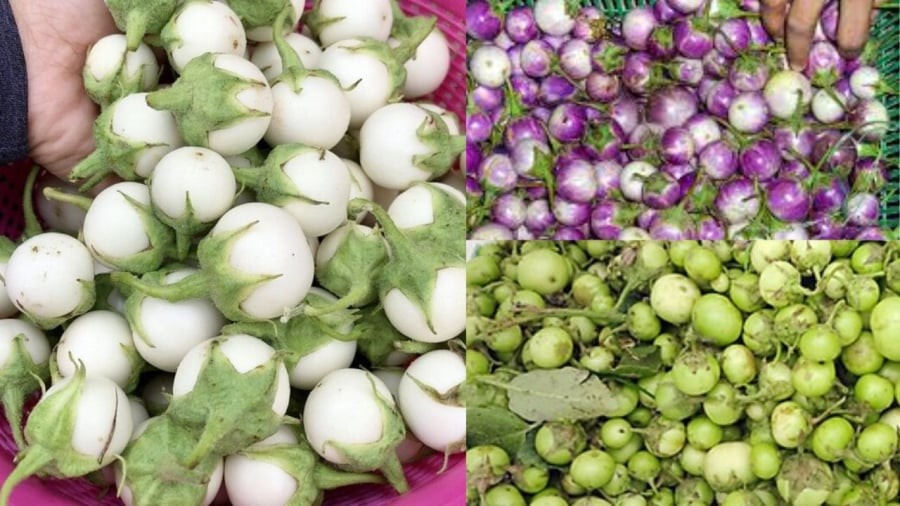 Cà pháo là thực phẩm phổ biến tạo nhiều món ăn ngon