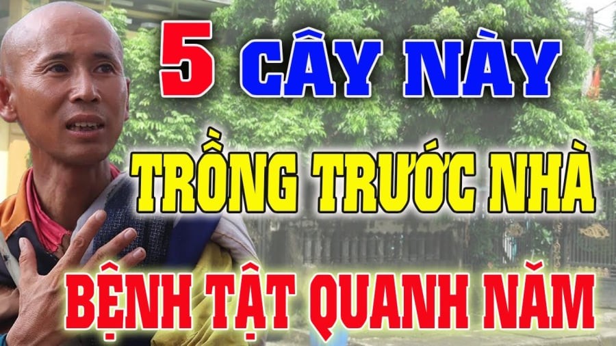 cay trong